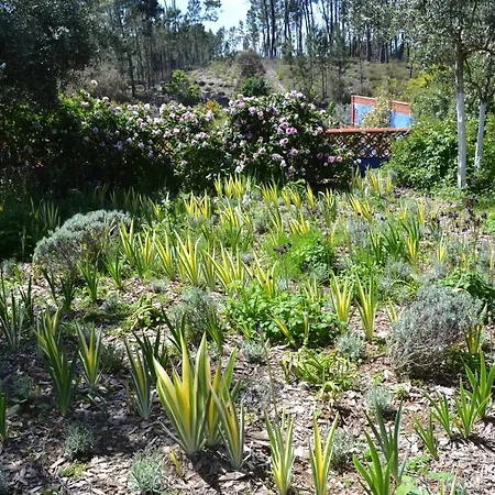 Casa Aloes Quinta Das Mil Flores Σπίτι διακοπών