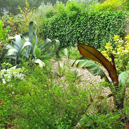 Σπίτι διακοπών Casa Aloes Quinta Das Mil Flores Pedrogao Grande