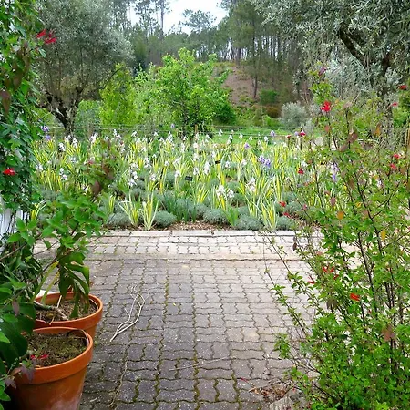 Σπίτι διακοπών Casa Aloes Quinta Das Mil Flores *