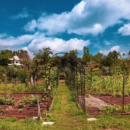 Σπίτι διακοπών Casa Aloes Quinta Das Mil Flores